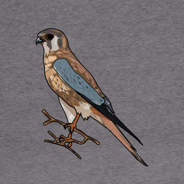 American kestrel bird cartoon illustration by Miss Cartoon